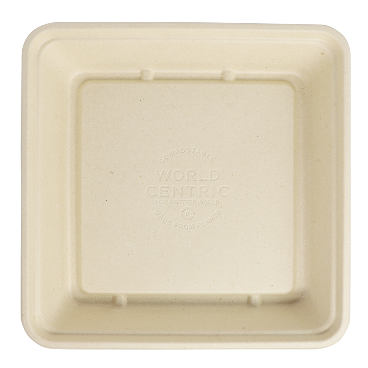 World Centric 9x9 Linear Takeout Container  | 399-Series | 300/cs