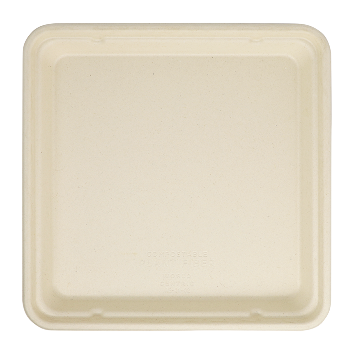 World Centric 9x9 Linear Takeout Container, Shallow  | 399-Series | 300/cs