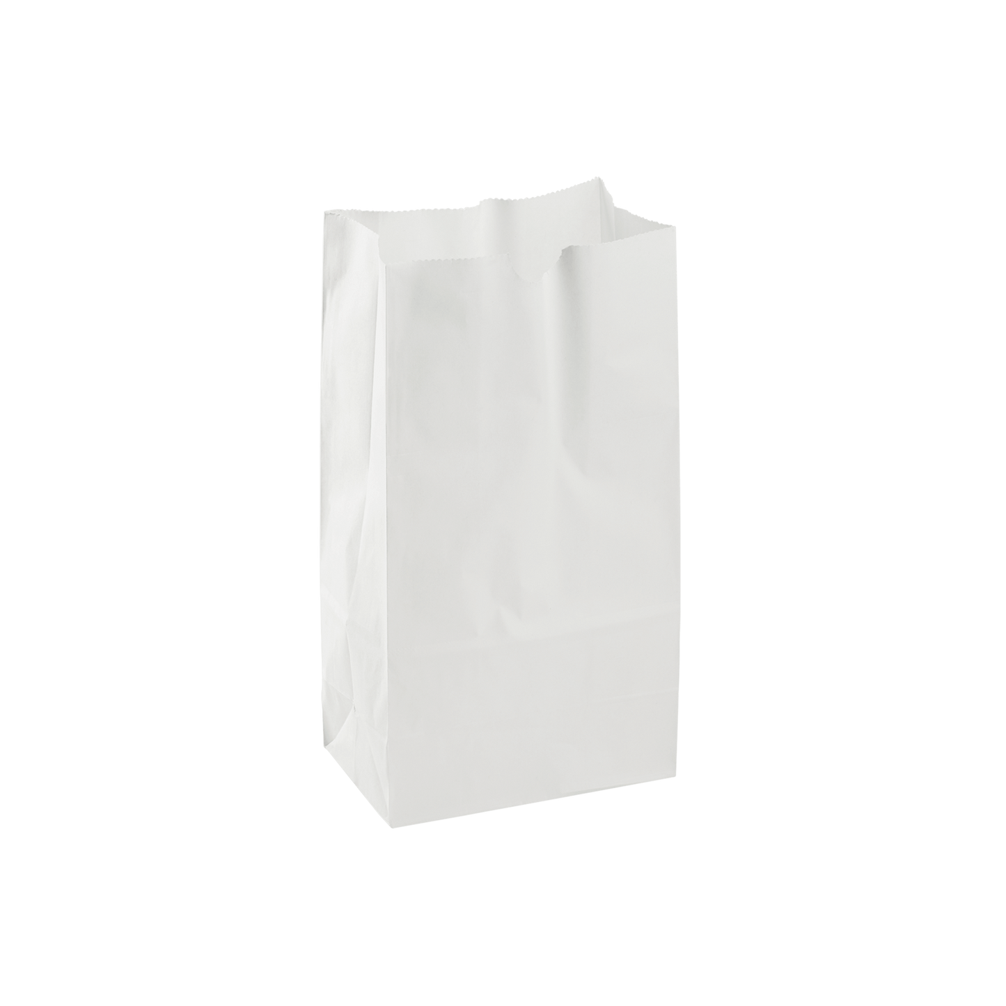 Karat Earth 4lb Paper Bag | White