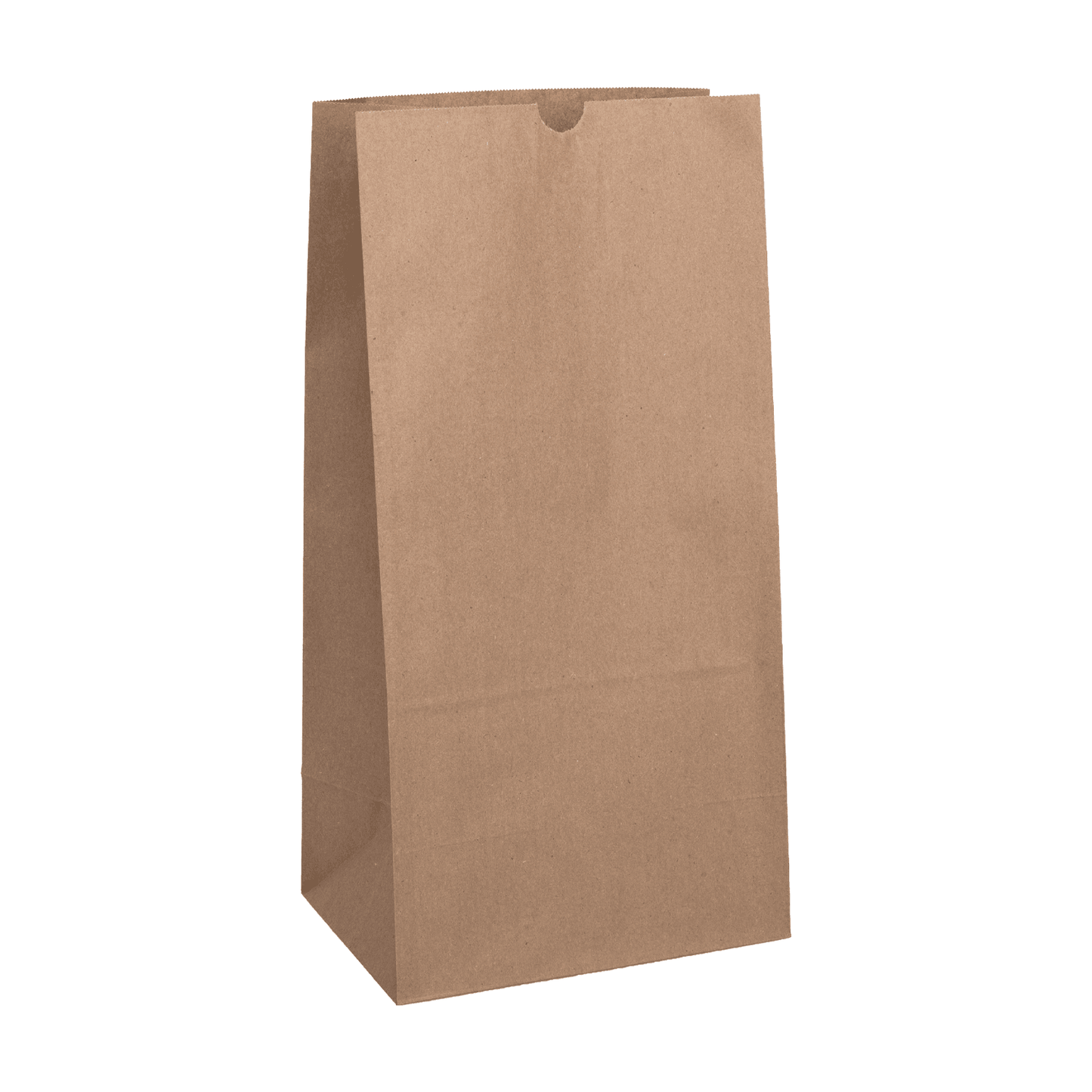 Karat Earth 20lb Paper Bag | Kraft